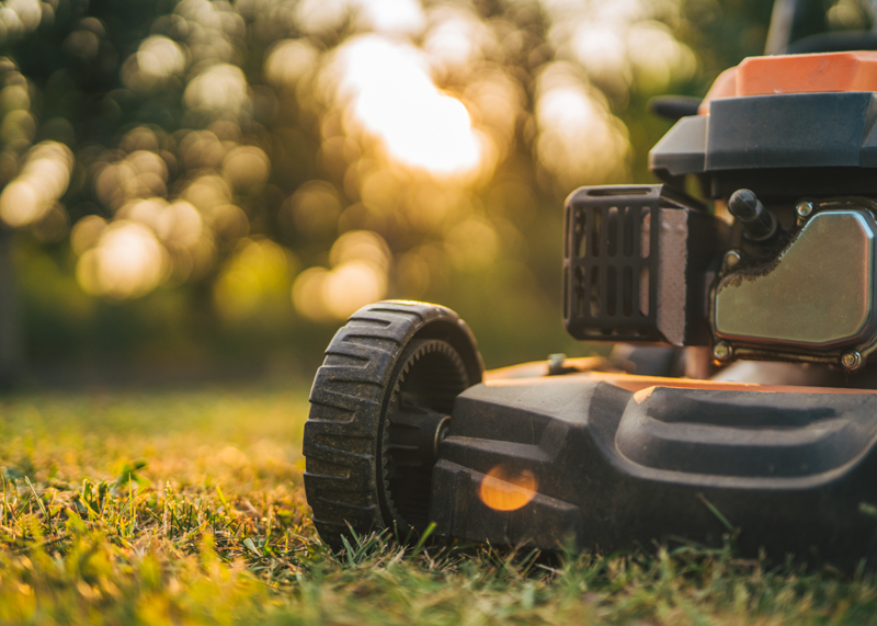 Lawncare-landscaping-16